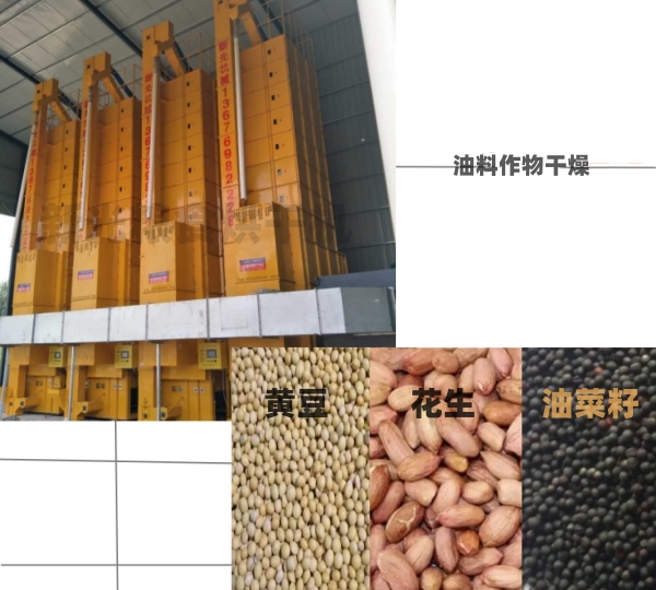 新光糧食烘干機(jī) 新光糧食烘干機(jī)