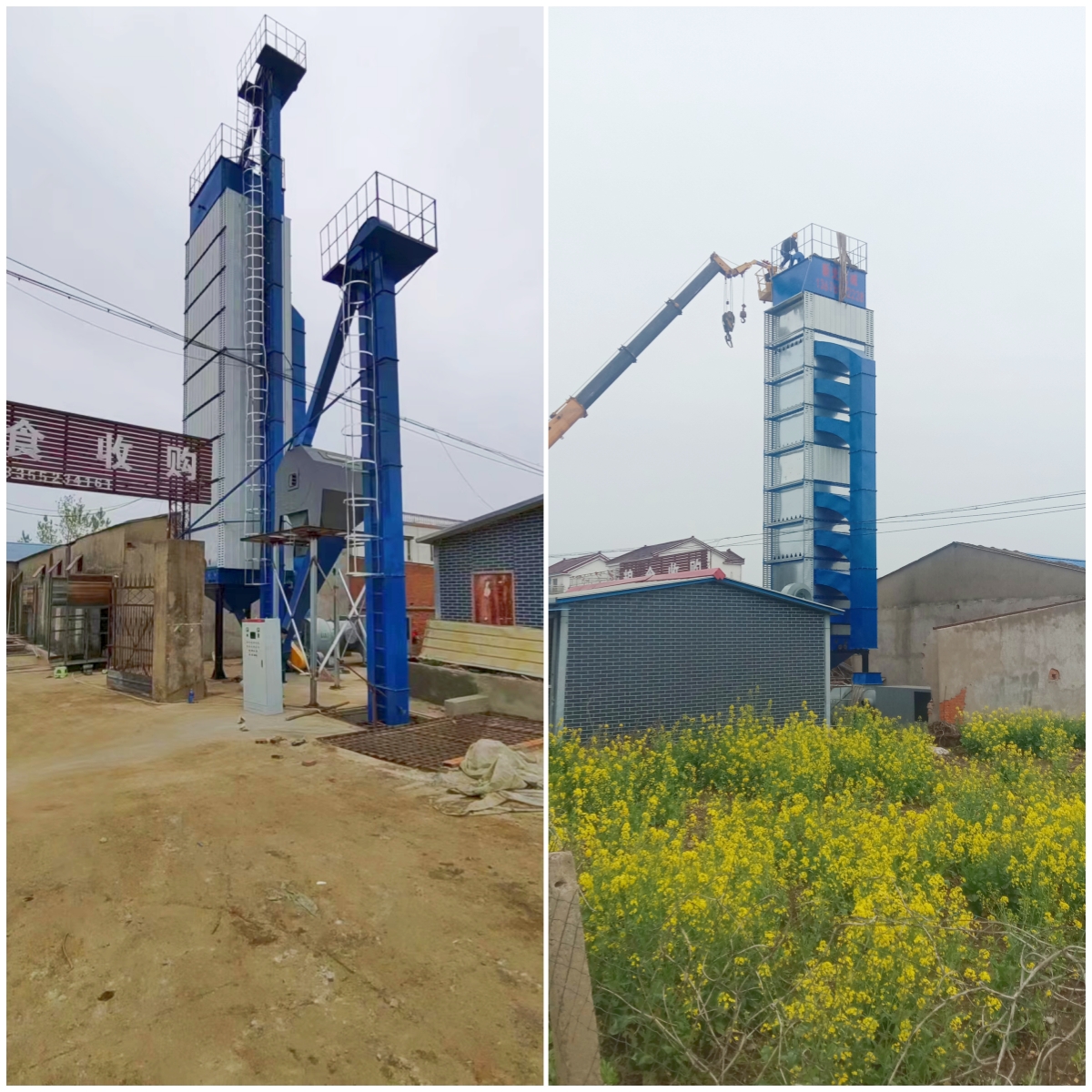 �¹��B�mʽ�Zʳ�����